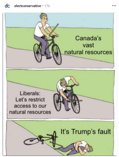 trumps fault