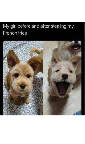 FB_IMG_1744291993276