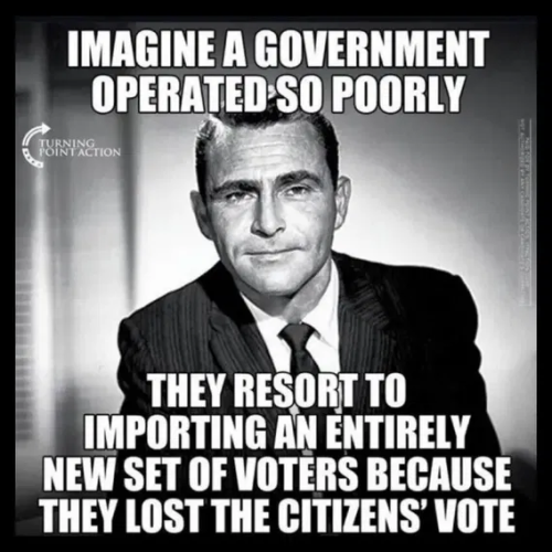 image_2025-04-19_100706927