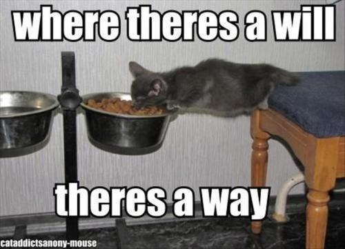 zvi7s61xa1xn42p0np99ujvag9svkdfs