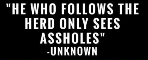 image_2025-04-22_062927134