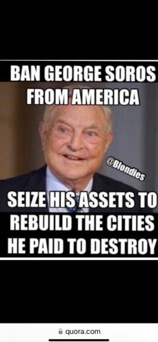 SOROS SEED WEALTH