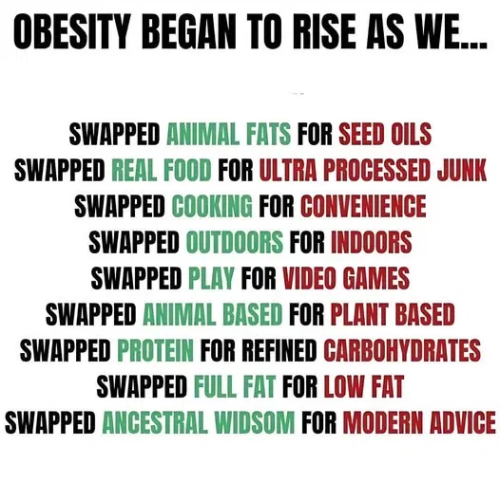 image_2025-04-22_062738978