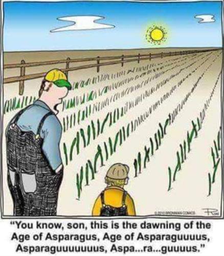 Screenshot_20250405_160220_Gallery