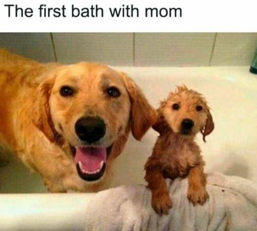 FB_IMG_1744505318185