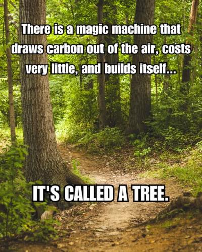 000000000000000000000000000000000000000000000000000000000000000000000000000000000000000000000000000000000000000000000000000000000000000000000000000000000000000000000000000000000000000000000000000000000000000000bcq