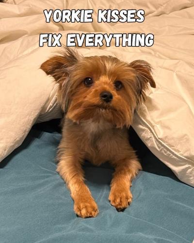 FB_IMG_1744642573679