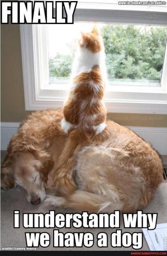 525ccae0714fb33a3826a9b4b7fa1b2aa19d4002f4cabeccd3d18fbc4c1ea5b0_1