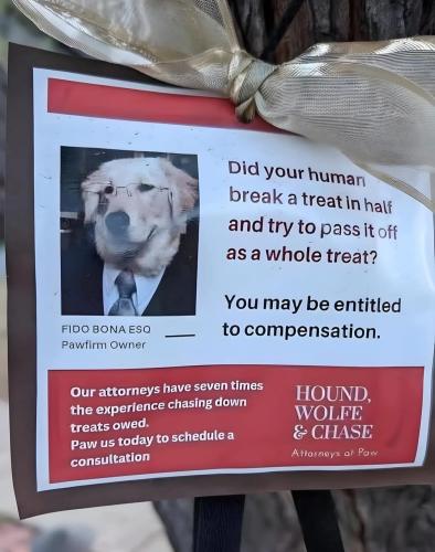 Screenshot_20250417-124436_Facebook