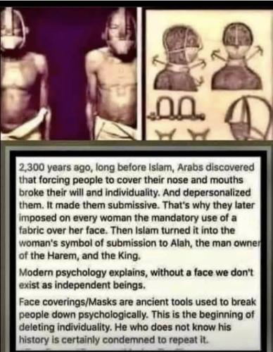 Screenshot_20250425_122156_Facebook