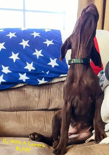 Screenshot_20250404_080431_Gallery