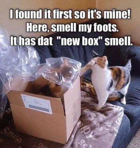 6a253f275b96eb4d2de7d4e961db981a