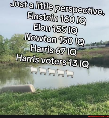 f877c2106d7a8ab00537768ceaa56d8b46841f00a351f5b4bbc6342437652121_1