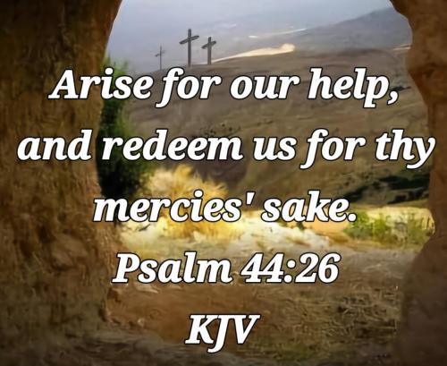 461d5754-2f65-4e19-a379-bc534f836c56