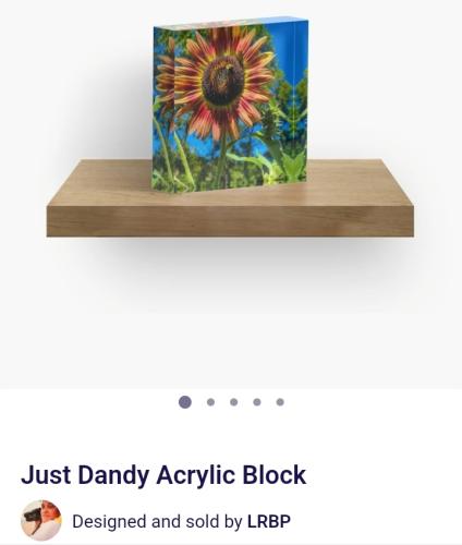 Screenshot_20250430_133850_Brave