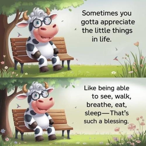 492004155_122127049994778564_439586321887124613_n