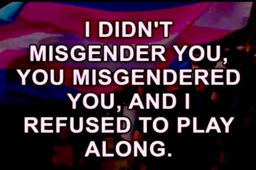 FB_IMG_1745176503240