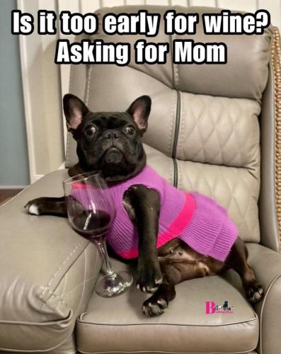 FB_IMG_1744896576078