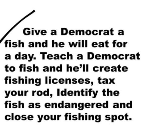 e14bb943-c579-47c0-a1bf-a2dfa67f5ac2_736x632