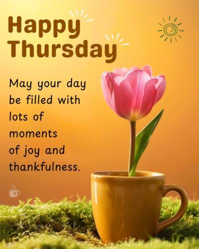 487546052_1202956404567499_6151737931880010070_n