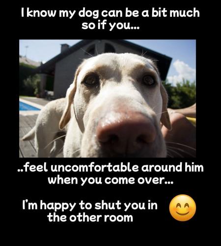 FB_IMG_1744802798246