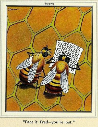 20250422_073844