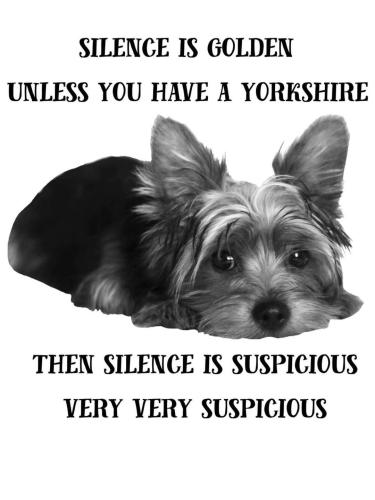 FB_IMG_1745681985260