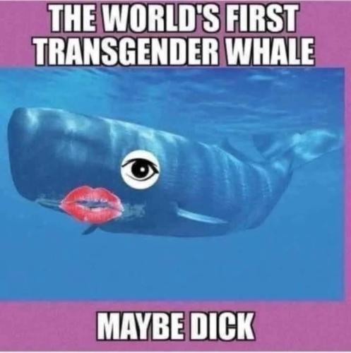 040D665A-EEF3-4131-8942-595FF16688E6