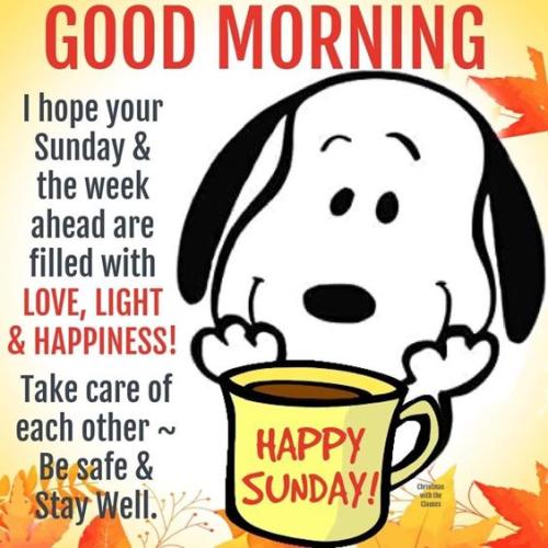 sunday-morning-coffee-funny-327005994