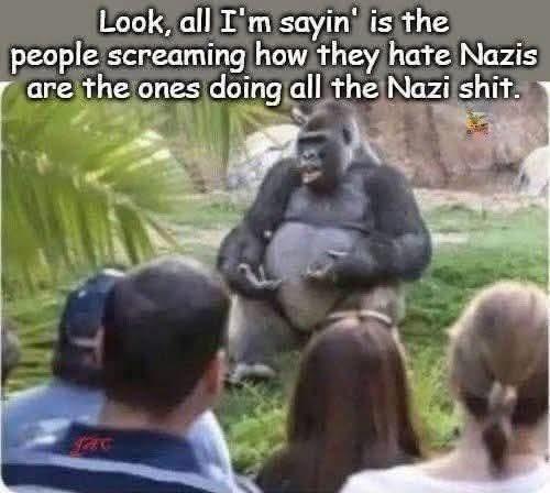 fc6a5b77-5799-43c3-ba40-fd7f52426d84