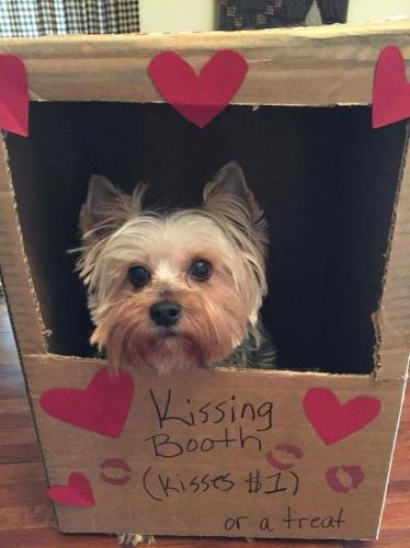 FB_IMG_1744641860507