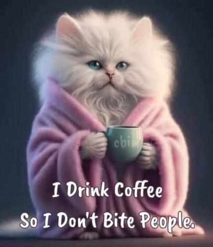 490622198_1214845963338844_2803623663140515547_n