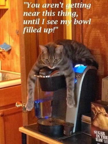 2476c01ed879a8e79ef585ce702dd031