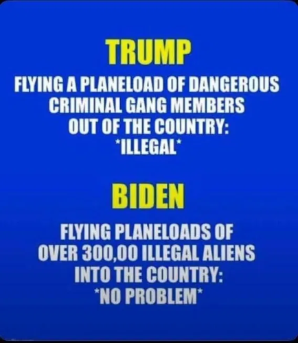 image_2025-04-09_061642528