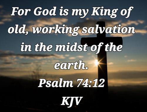 ffbcb73e-492b-4a08-8bd4-666f1335241b