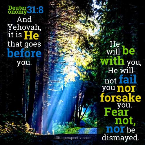 deu-31-8-JPS-pixabay-9x