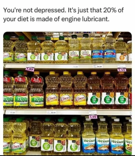 image_2025-04-14_061720993