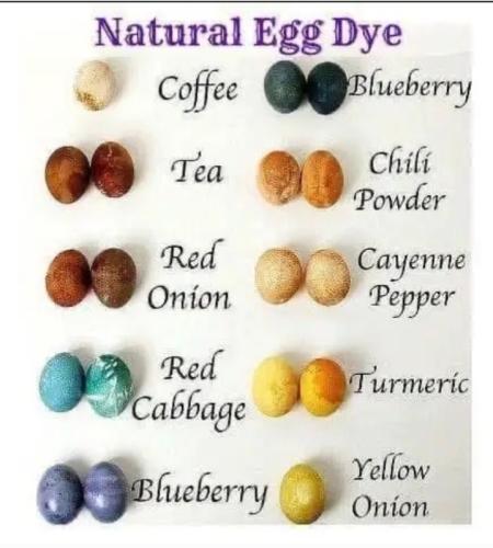 Screenshot_20250414_054454_Gallery