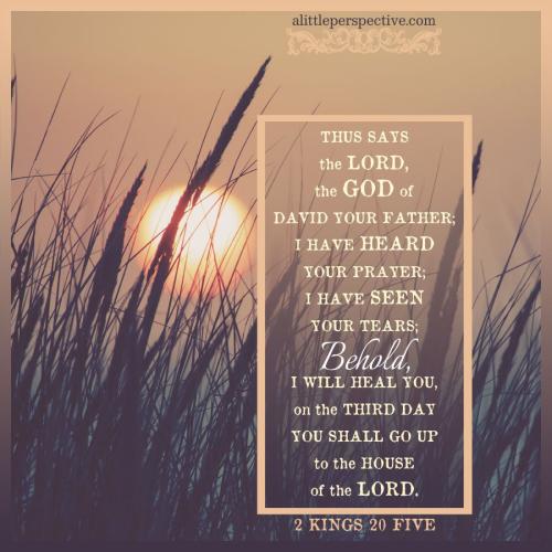 2-kin-20-5-JPS-pixabay-9x