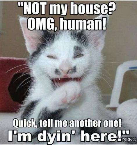 fe56647f49d71047effa416e47b79d3e