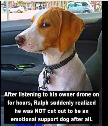 0FA10452-F790-45F6-A0F7-E7219F43CCAB