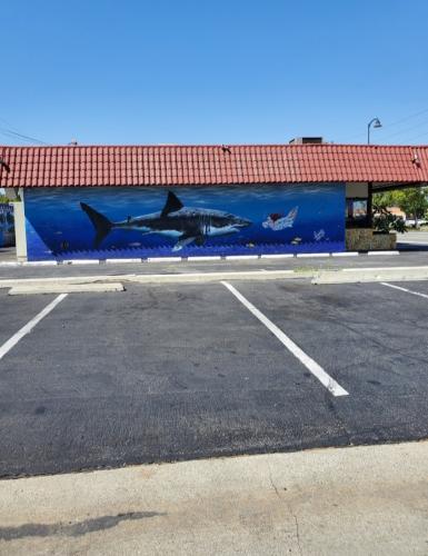 Screenshot_20250425_153132_Photos