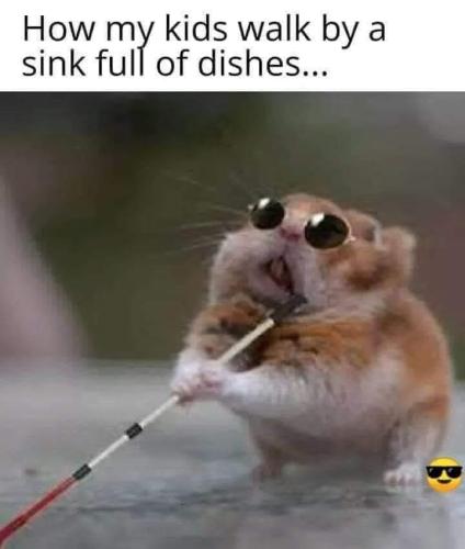 94911860-FD87-4DE7-B429-BBF345A339FB