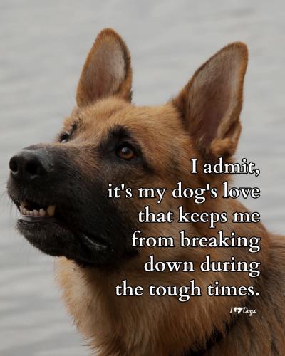 FB_IMG_1745872697428