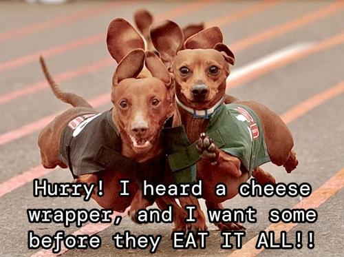 FB_IMG_1744649858847