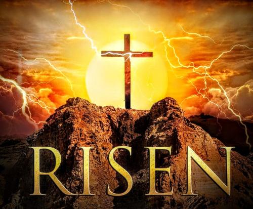 wp6052375-1187044789~4