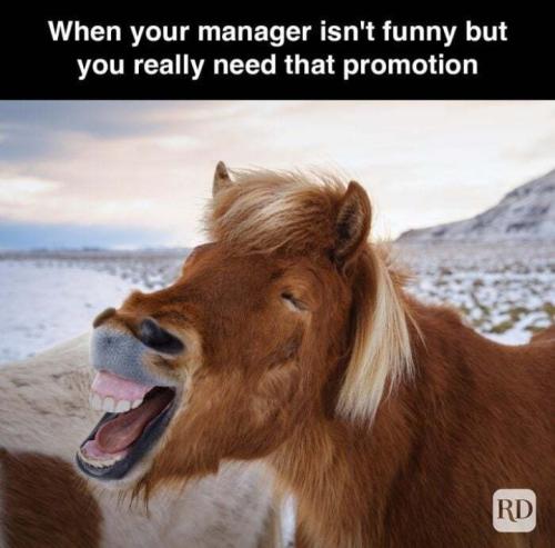 Screenshot_20250424_093843_Gallery