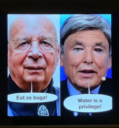 image_2025-04-24_063006260