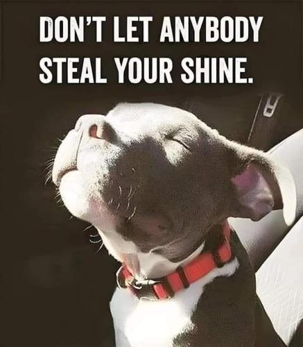 efb79e7250b728508a30385a96dd39c7