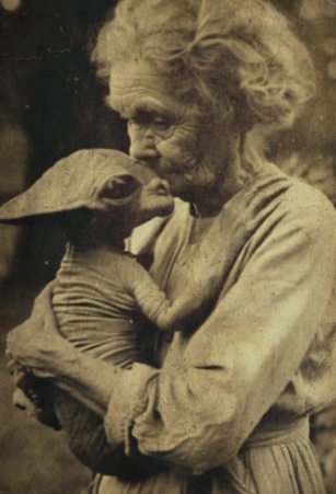 Image 26-03-2024 at 22.53